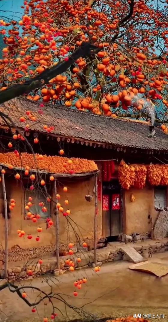 每一位创业者都应该具备什么思维,成功领导者的思维和理念