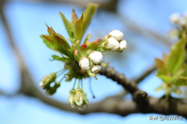 额头皱纹是怎么产生的,50岁后额头上的皱纹产生的原因
