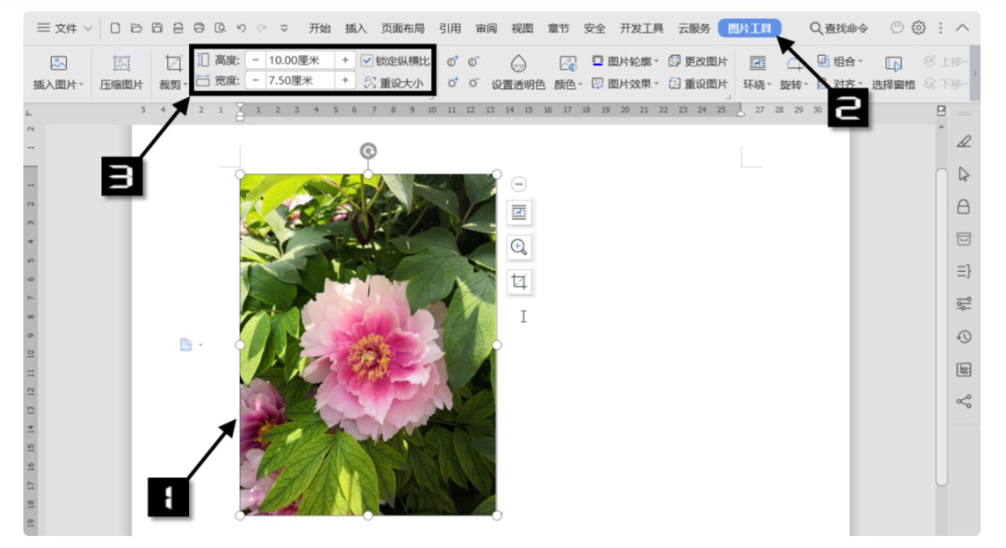 ioswps表格100个常用技巧,wpsword100个常用技巧