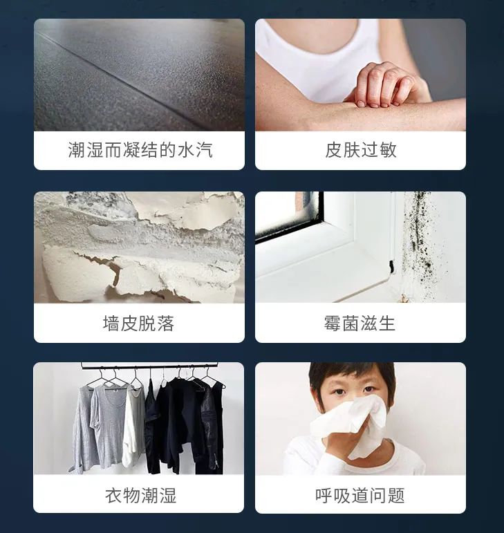 梅雨季节怎么消除霉点,梅雨期如何除湿