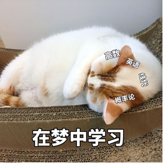 谷爱凌说自己是一个正常的女孩,谷爱凌找婆家