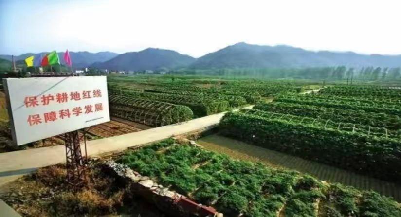 美国控制全球粮食价格的原因,美国控制粮食价格吗