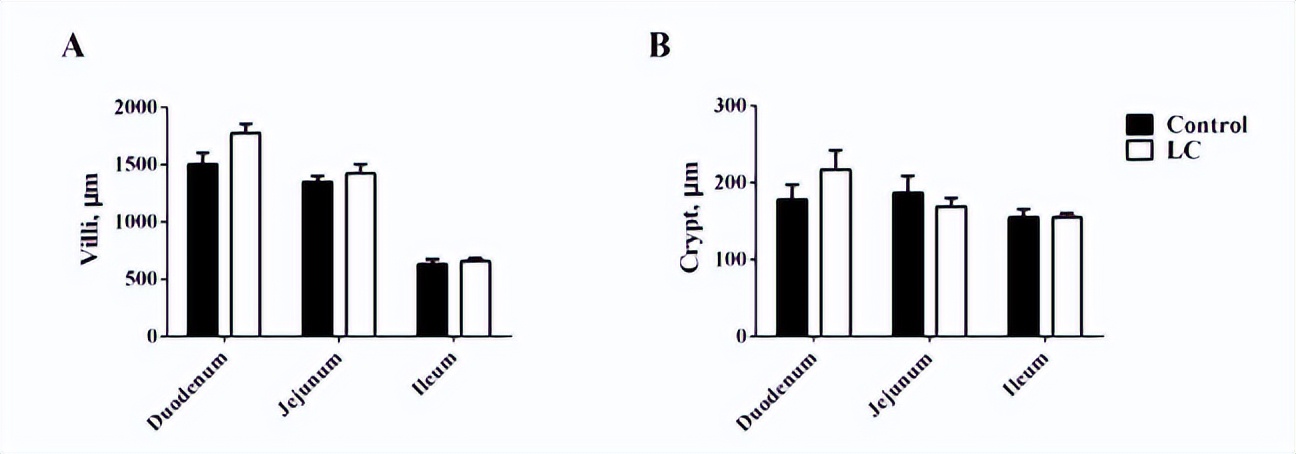 浣庨挋楗叉枡,浣庨挋鏃ョ伯