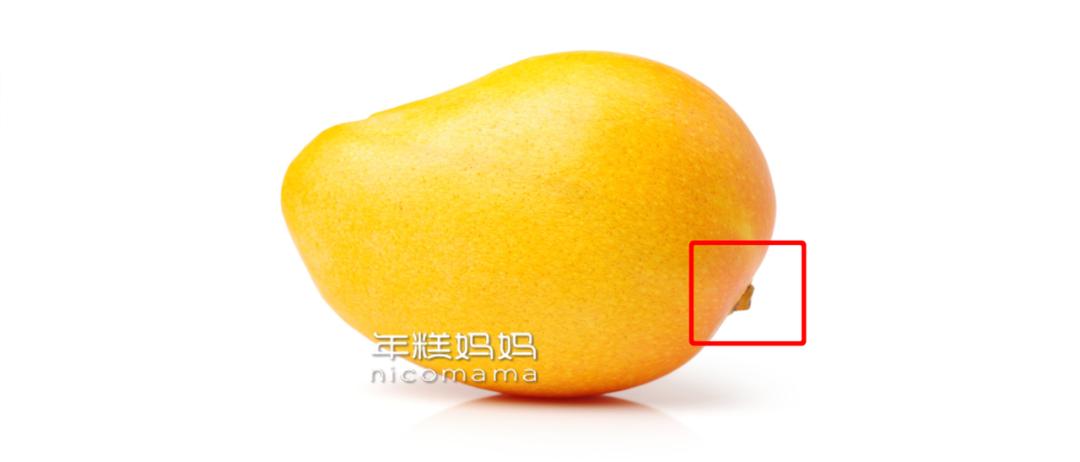 小孩子发烧便血,5岁女孩腹泻高烧怎么处理