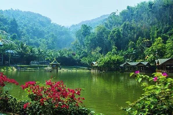 云南西双版纳旅游攻略app,云南西双版纳旅游攻略自由行12月