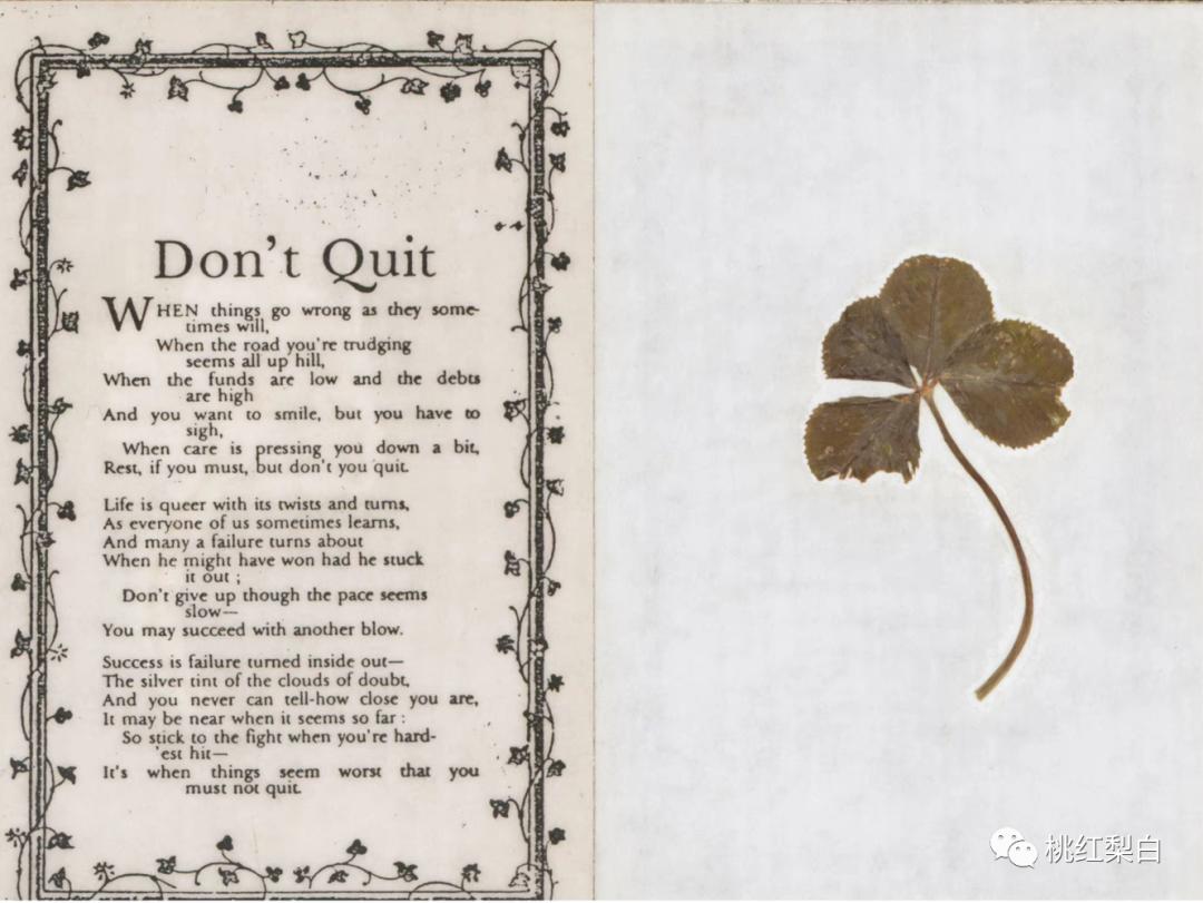 英国温莎公爵夫人珠宝,温莎公爵夫妇珠宝