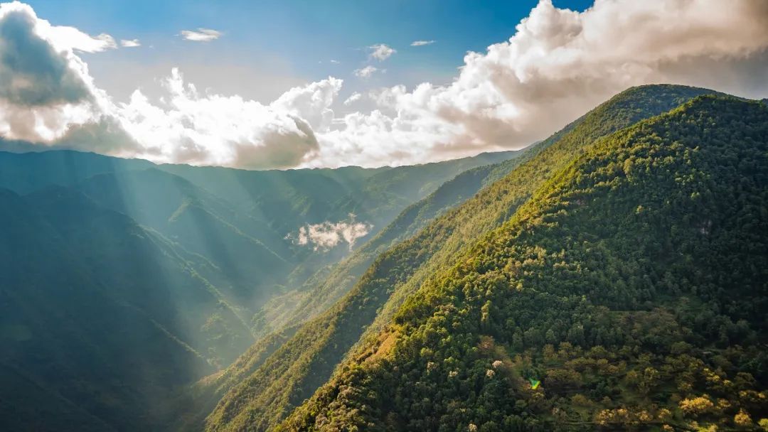 森林消防员应该怎么考,云南森林消防员训练