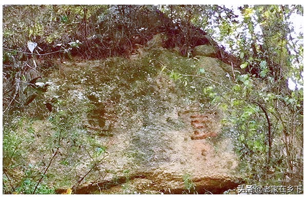 喇叭沟门原始森林最佳观赏区,喇叭沟门原始森林赏七彩秋景