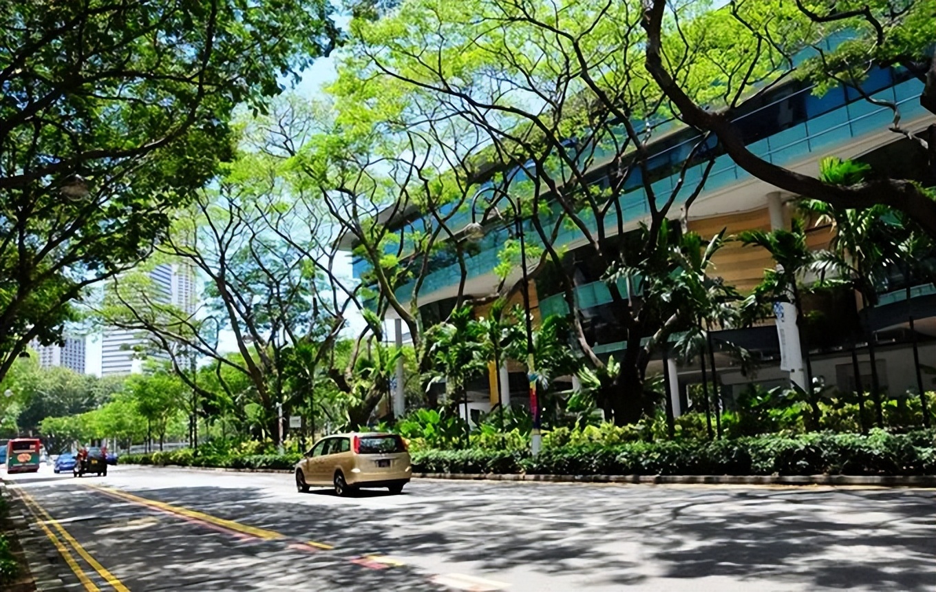 新加坡垃圾需要分类吗,新加坡没有垃圾袋怎么办