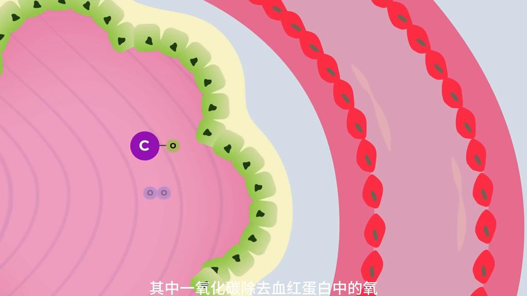 香烟中的有害物质主要是,香烟中的有害物质有几种