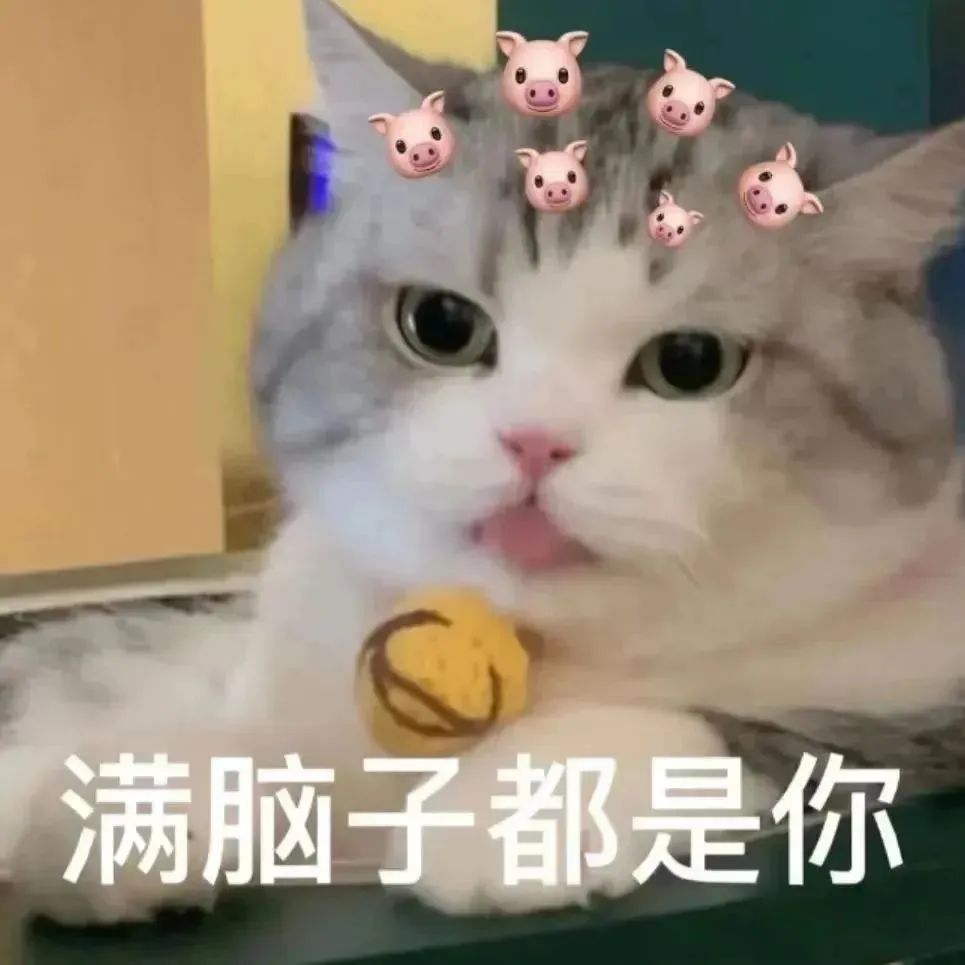 10快的裤子、20块的毛衣、30块的连衣裙...这几家店一定要买