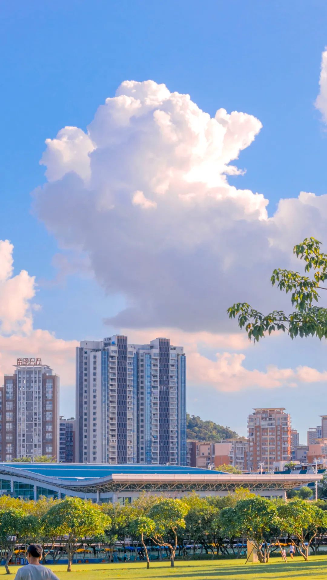 鍚堣偉涔嬪缃戠粶绉戞妧鏈夐檺鍏徃,鍚堣偉涔嬪