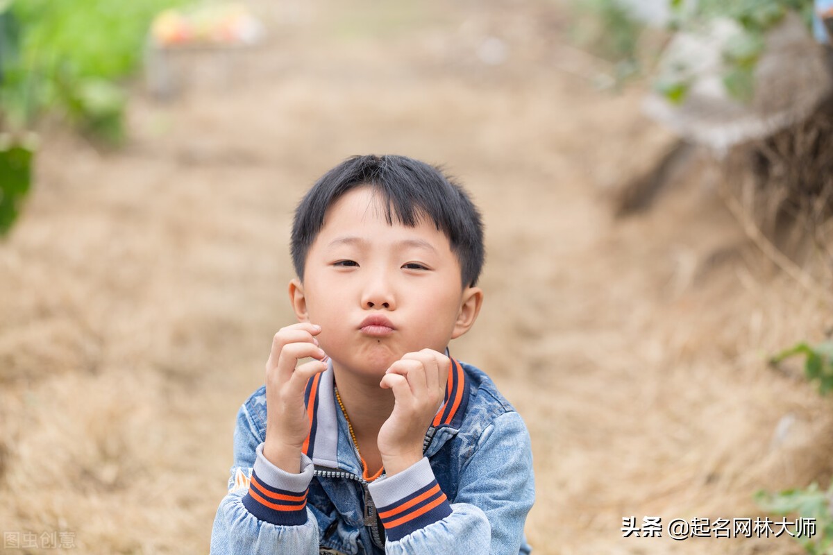 诗词里大气的男孩名字,古诗词中适合男孩大气名字