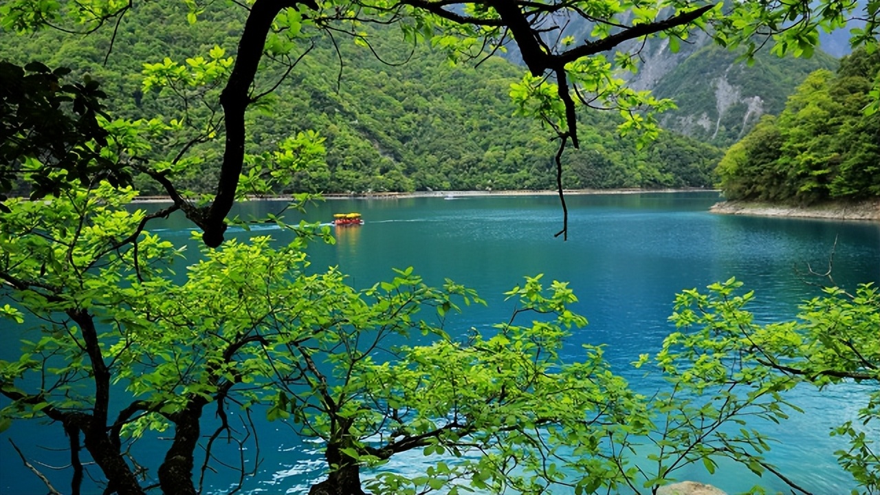 宣传甘肃陇南,联动宣传是什么意思