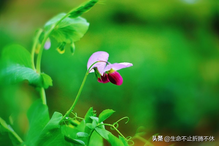 父母不知道自己的孩子多优秀,家人觉得自己孩子不成才