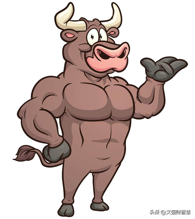 各种股的含义,各种公司的股票性质