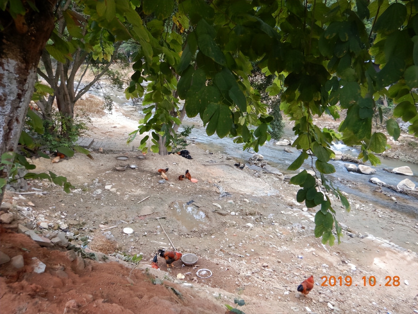 走进世界文化遗产之一福建永定客家土楼