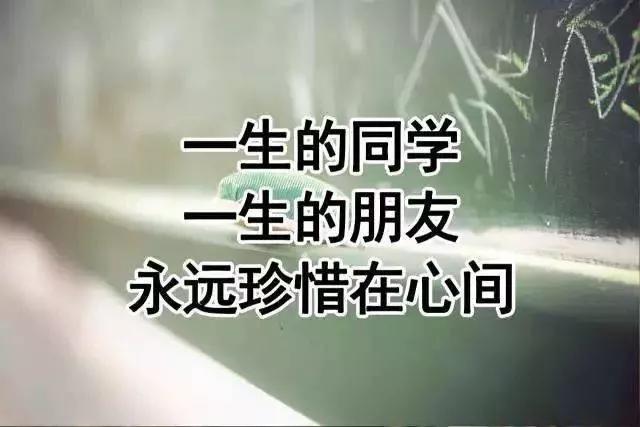 同学之间的情谊作文450字,同学间情谊作文800字