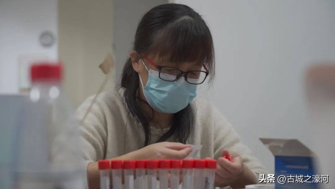 金色维也纳这个楼盘好吗,江城逸品昨天消息