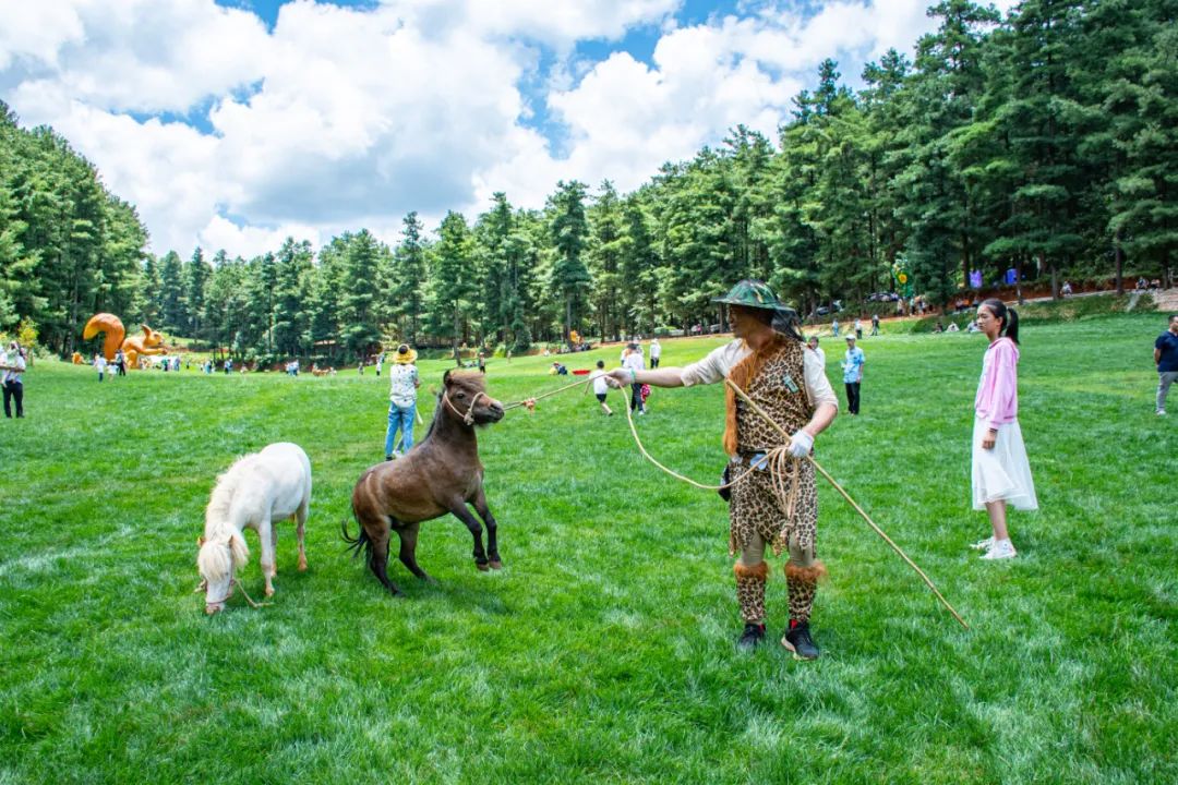 昆明旅游攻略一日游景点推荐理由,昆明旅游景点推荐一日游攻略图