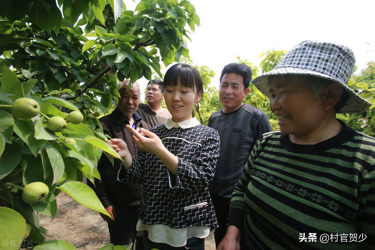 振兴乡村村官应该具备哪些素质,身为村官应该如何振兴乡村