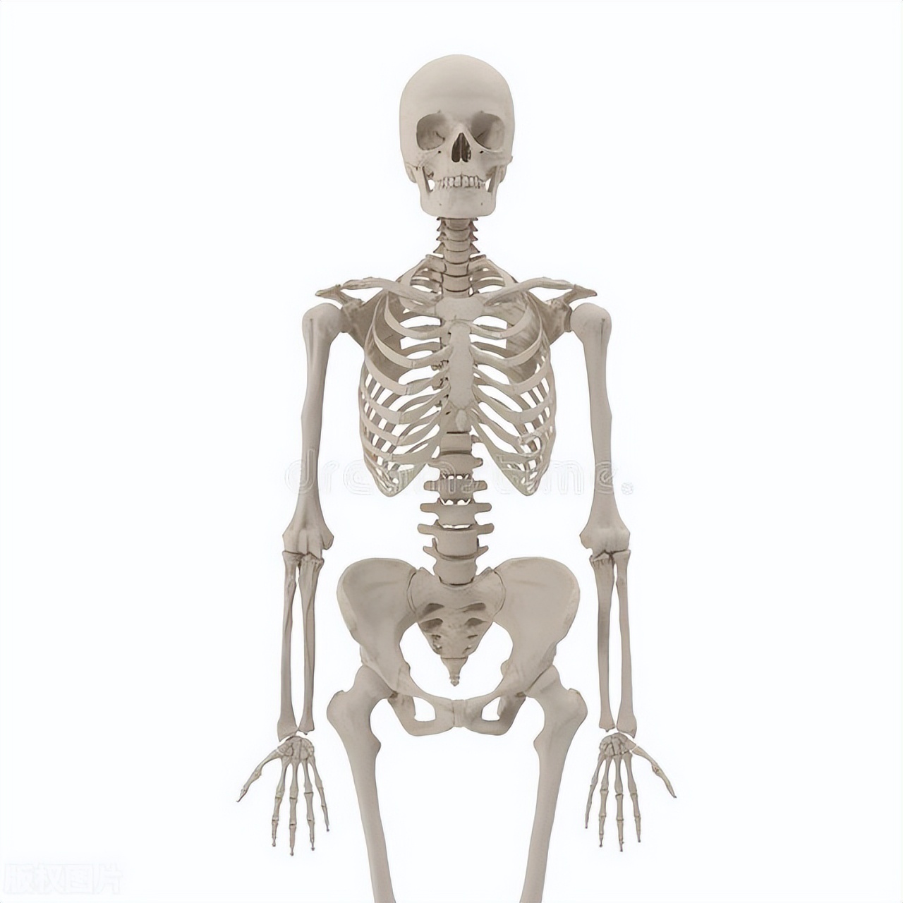 骨刺是怎么产生的？有骨刺需要治疗吗？医师告诉你如何预防发生