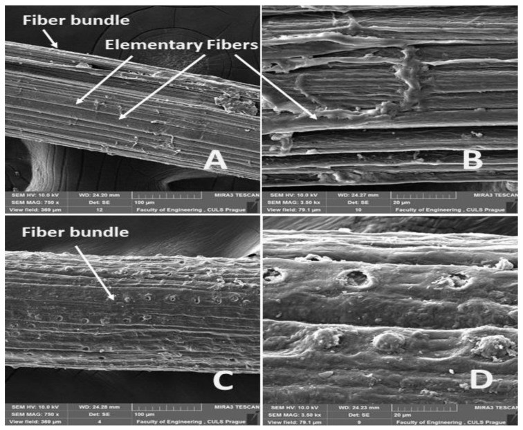 碱化处理之后，椰壳纤维和蕉麻纤维的拉抗强度是否会提升？