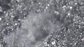 博比特虫遭遇人类袭击,巨型博比特虫