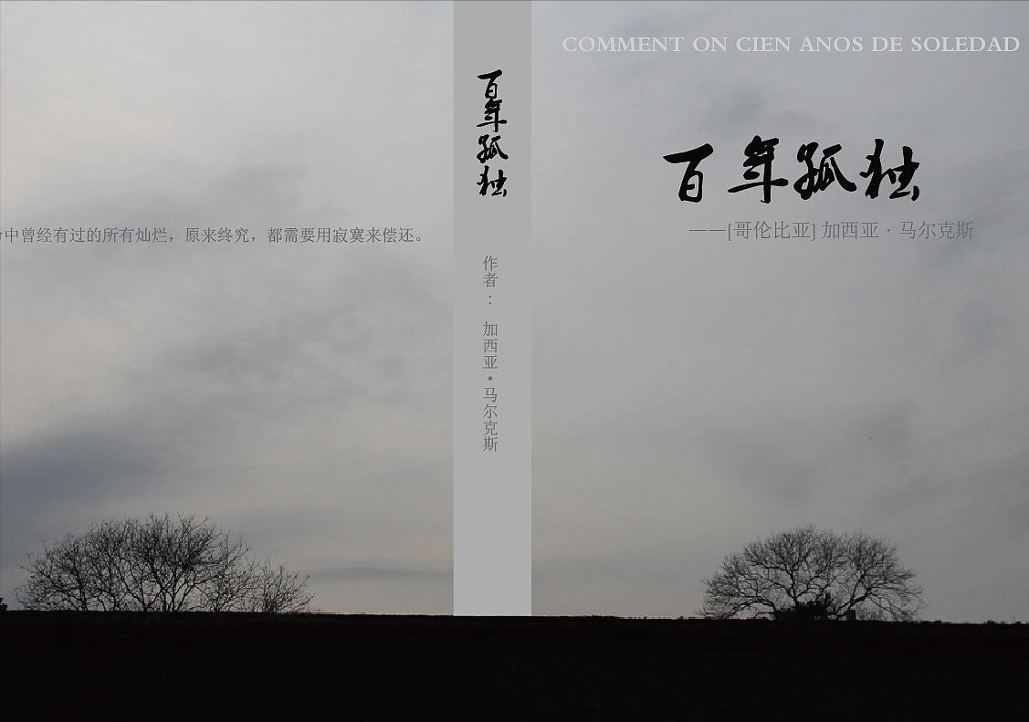 百年孤独介绍十五分钟,百年孤独介绍ppt课件