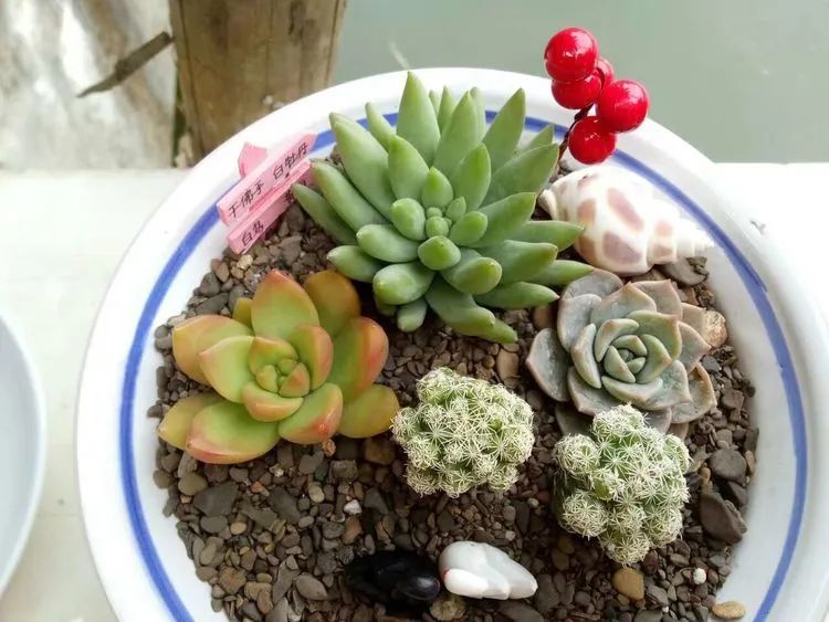 送我一轮明月文案,送我一轮明月