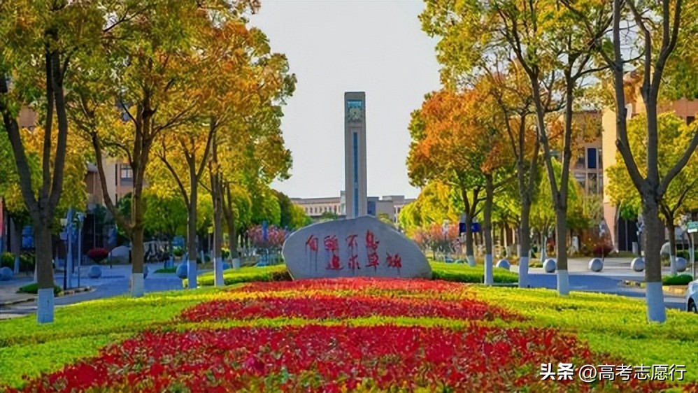 不起眼的本科大学,不起眼的高校