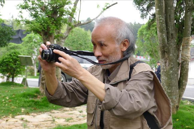 莽山烙铁头5000一条是真的吗,莽山烙铁头和大熊猫哪个珍稀