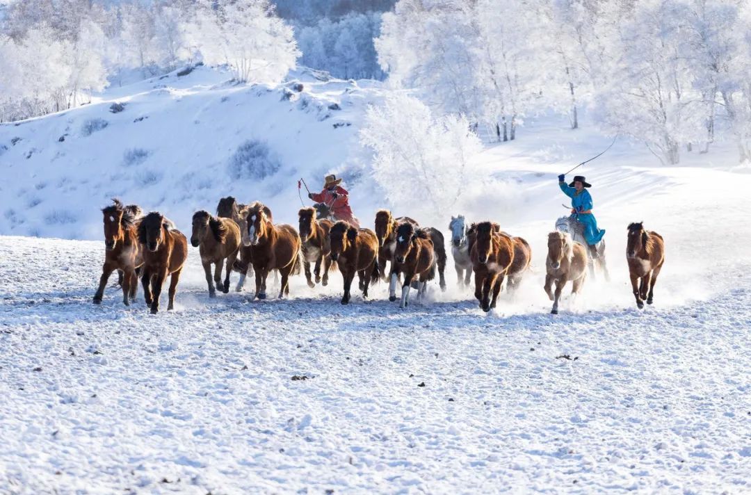 还剩10天!如何安全有仪式感地迎接元旦?这14条周边短线值得一去