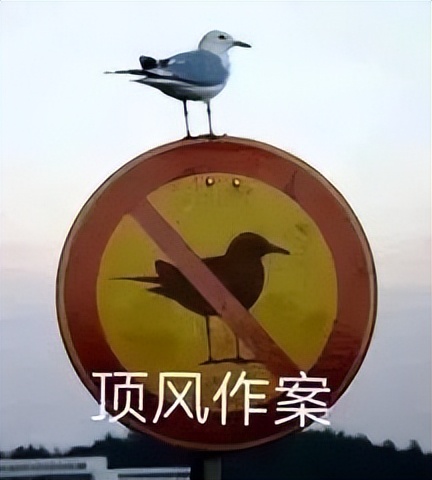 注意看！这个女人叫小美，在黄岐逛超市花20元竟买了260元商品