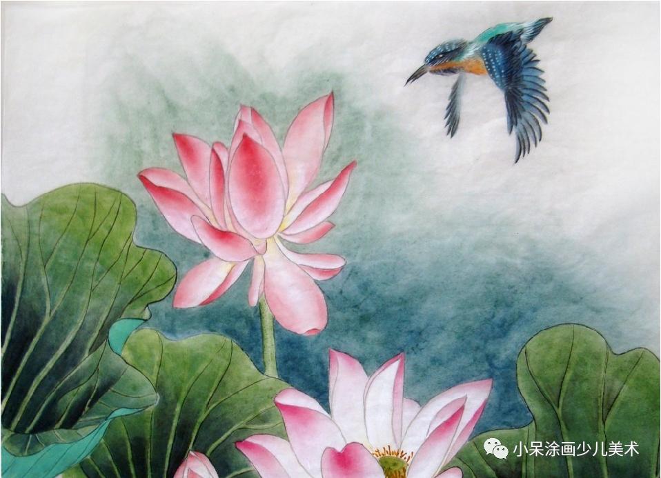 翠鸟生活环境,翠鸟育雏全集完整版