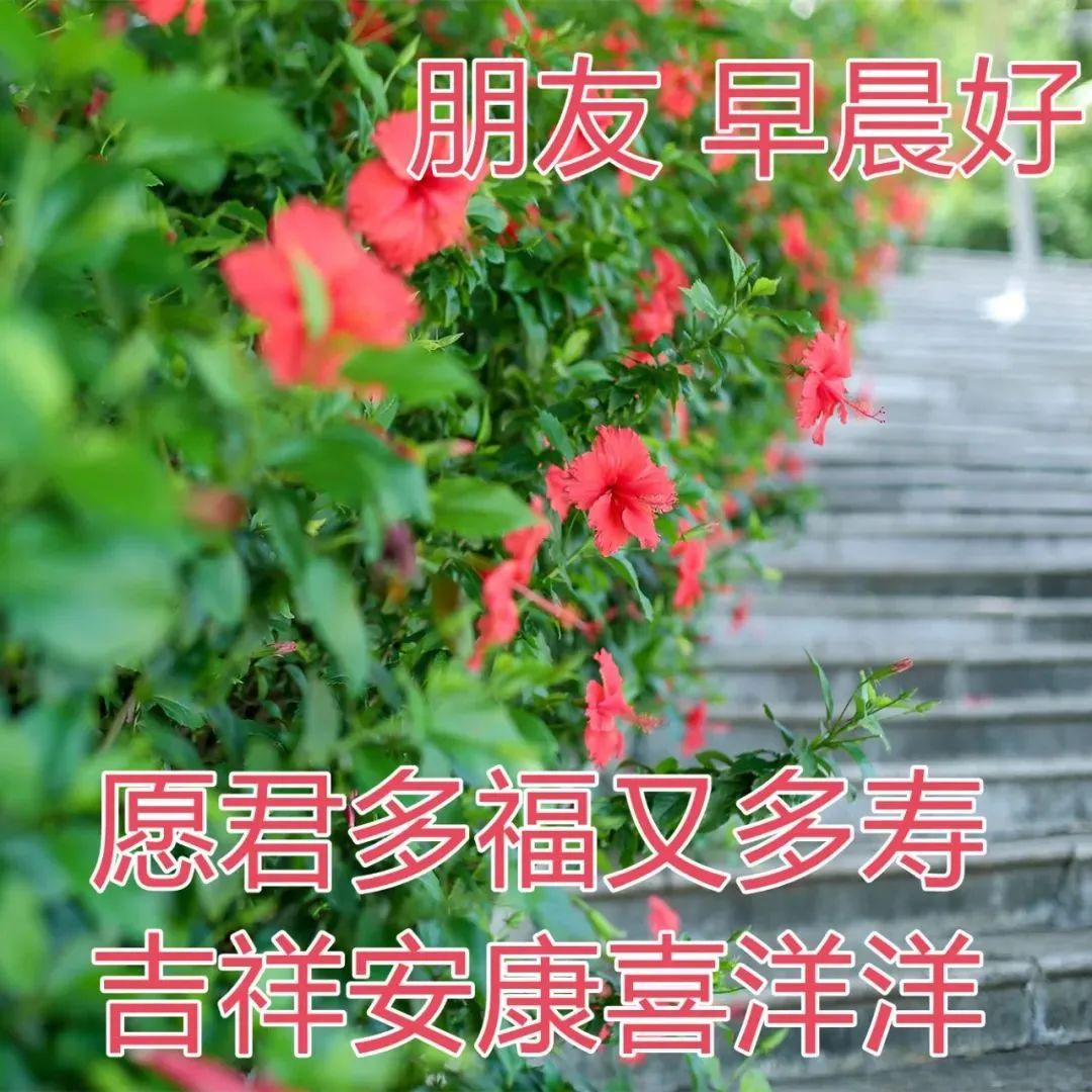 精美早上好动态表情包图片大全,最新早上好表情包动态图片大全