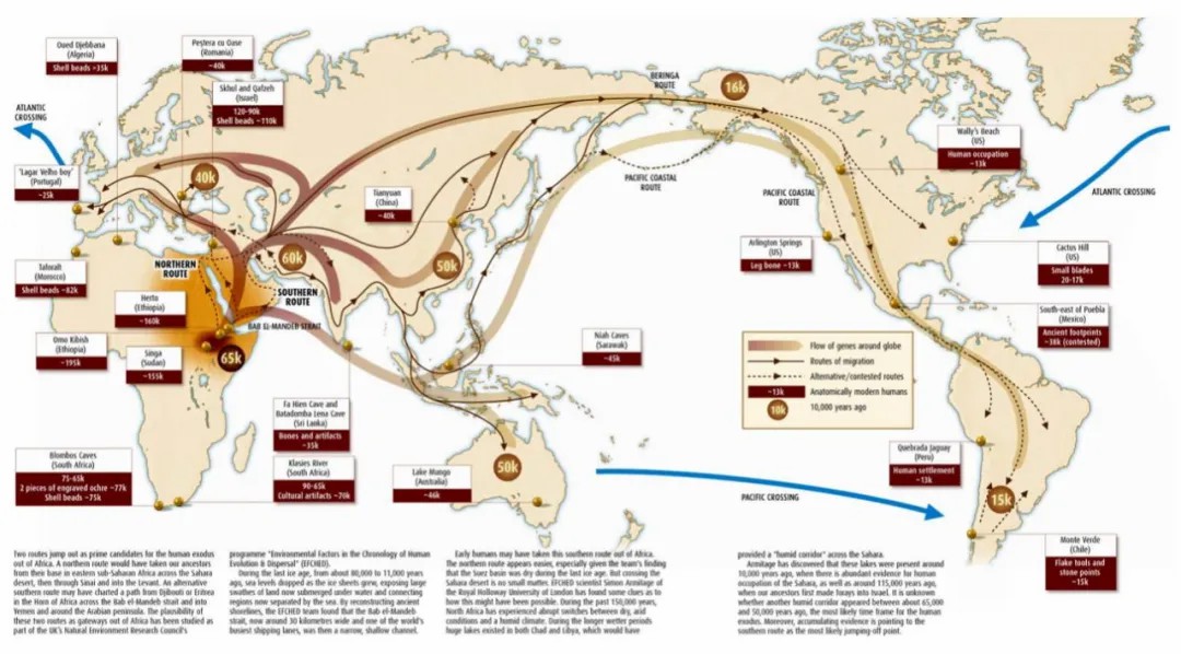 羊和羊驼是同一种种类吗,羊驼是骆驼和羊的结合吗