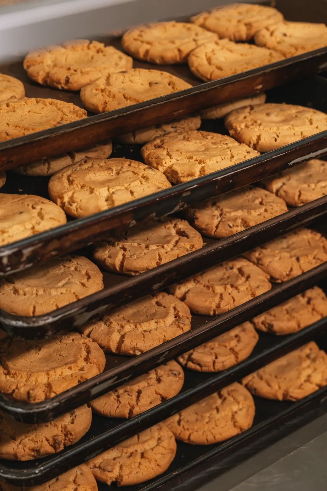 佛山泸溪河,火遍江浙沪泸溪河