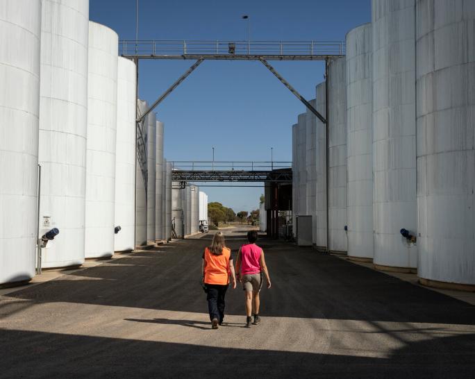 澳大利亚葡萄酒行业陷入危机,澳大利亚葡萄酒为什么反倾销