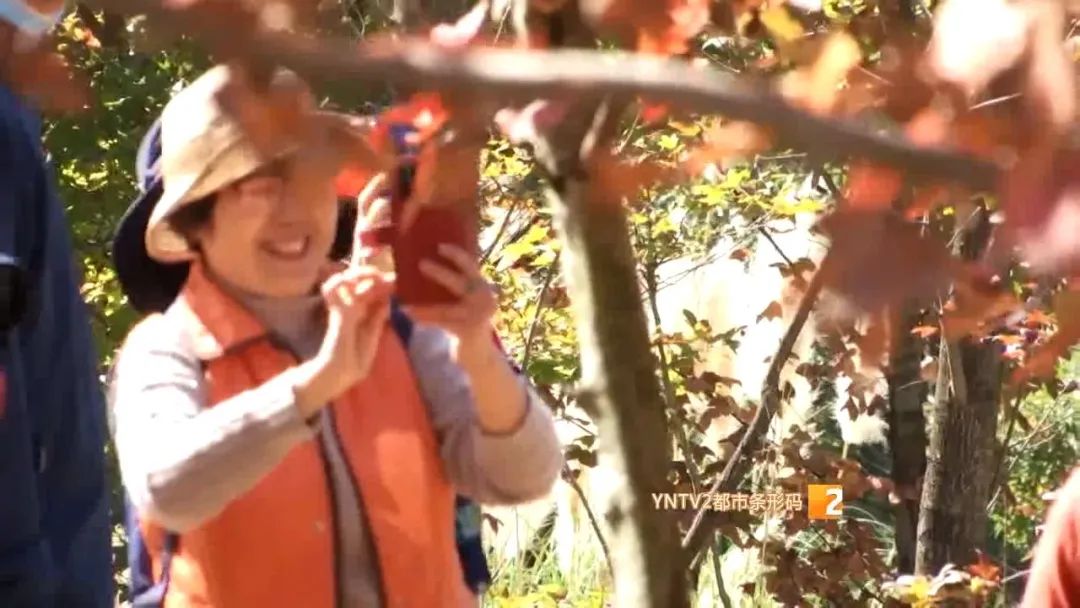 秋天的云南哪里漂亮又美丽,有一种美叫云南的秋天美景