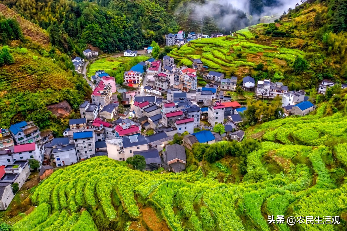 农历二月二十九民间俗语,农村谚语二月十四不下雨