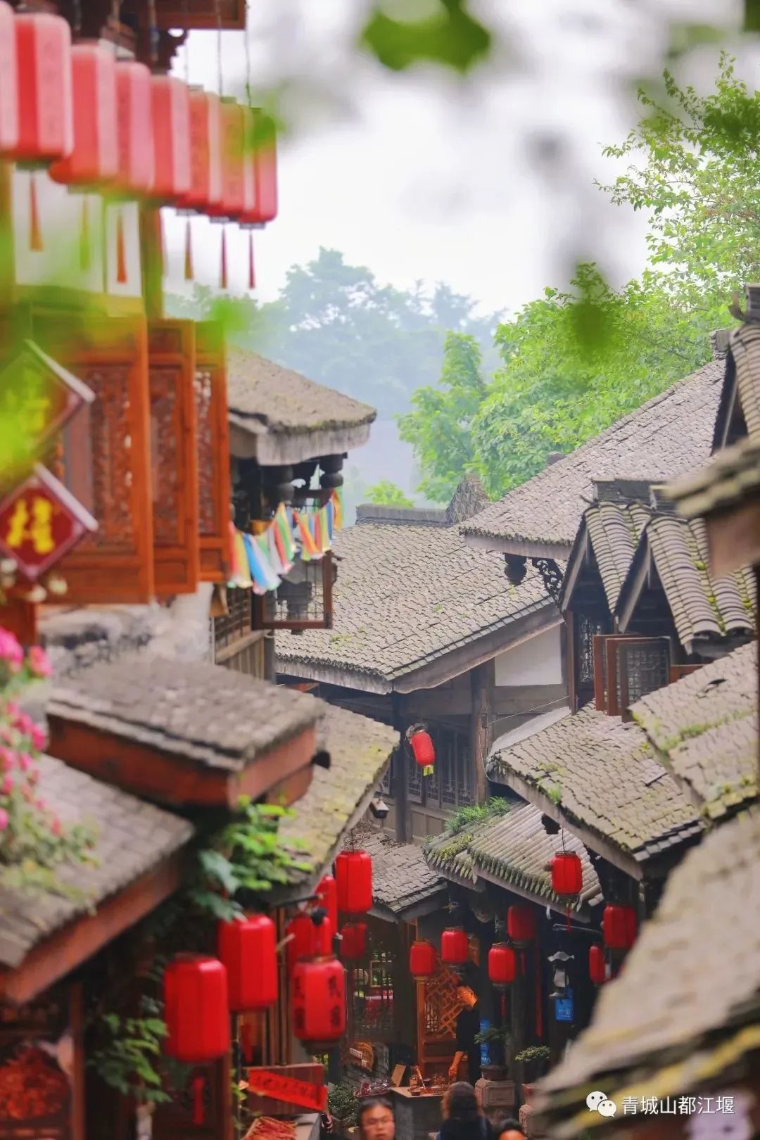 拿走不谢！这份都江堰“懒人版”旅游攻略，不爬山、不扎堆，还能打卡明星同款，赶快行动吧~