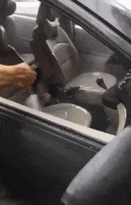 大街上看到的一幕万万想不到,大街上的一幕视频