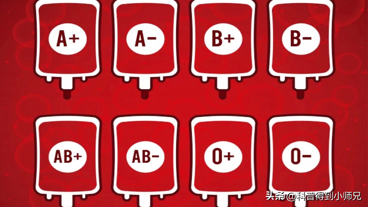 熊猫血恐龙血，人类有35种血型系统！除了ABO，你还知道哪一种？