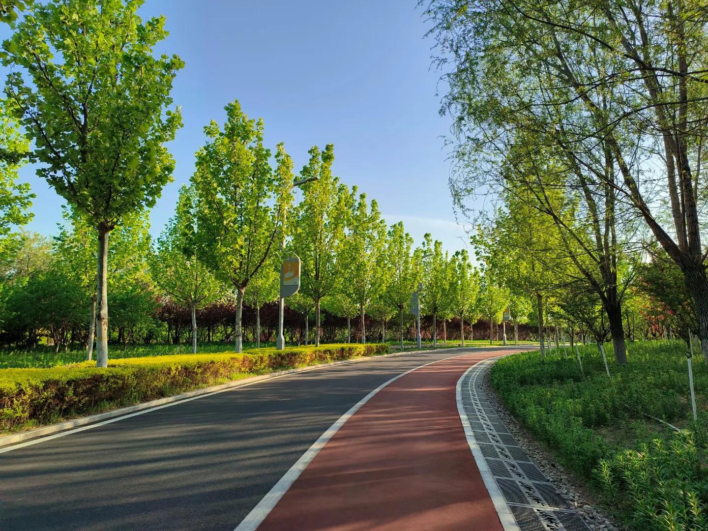 微头条辅助创作工具,怎么创作微头条赚钱