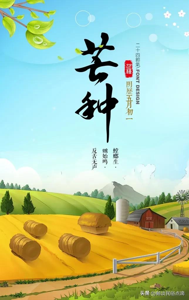 二十四节气芒种谚语大全,2002年芒种节气