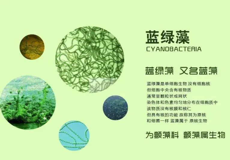 多灾多难，我们的未来还会好吗？