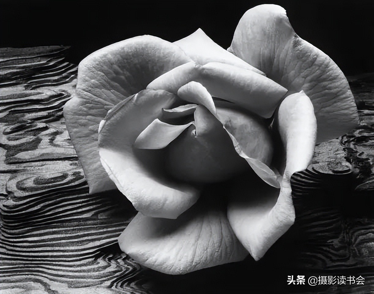 安塞尔亚当斯风光摄影,安塞尔亚当斯摄影经典作品图片