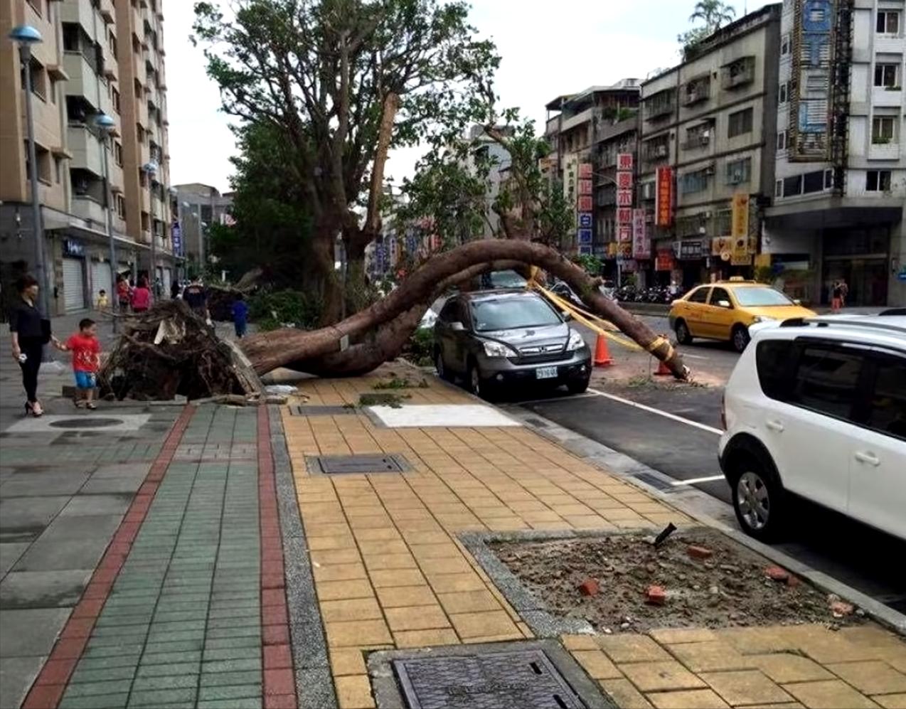 20张让人开怀大笑的猫咪照片,100张有趣猫咪照