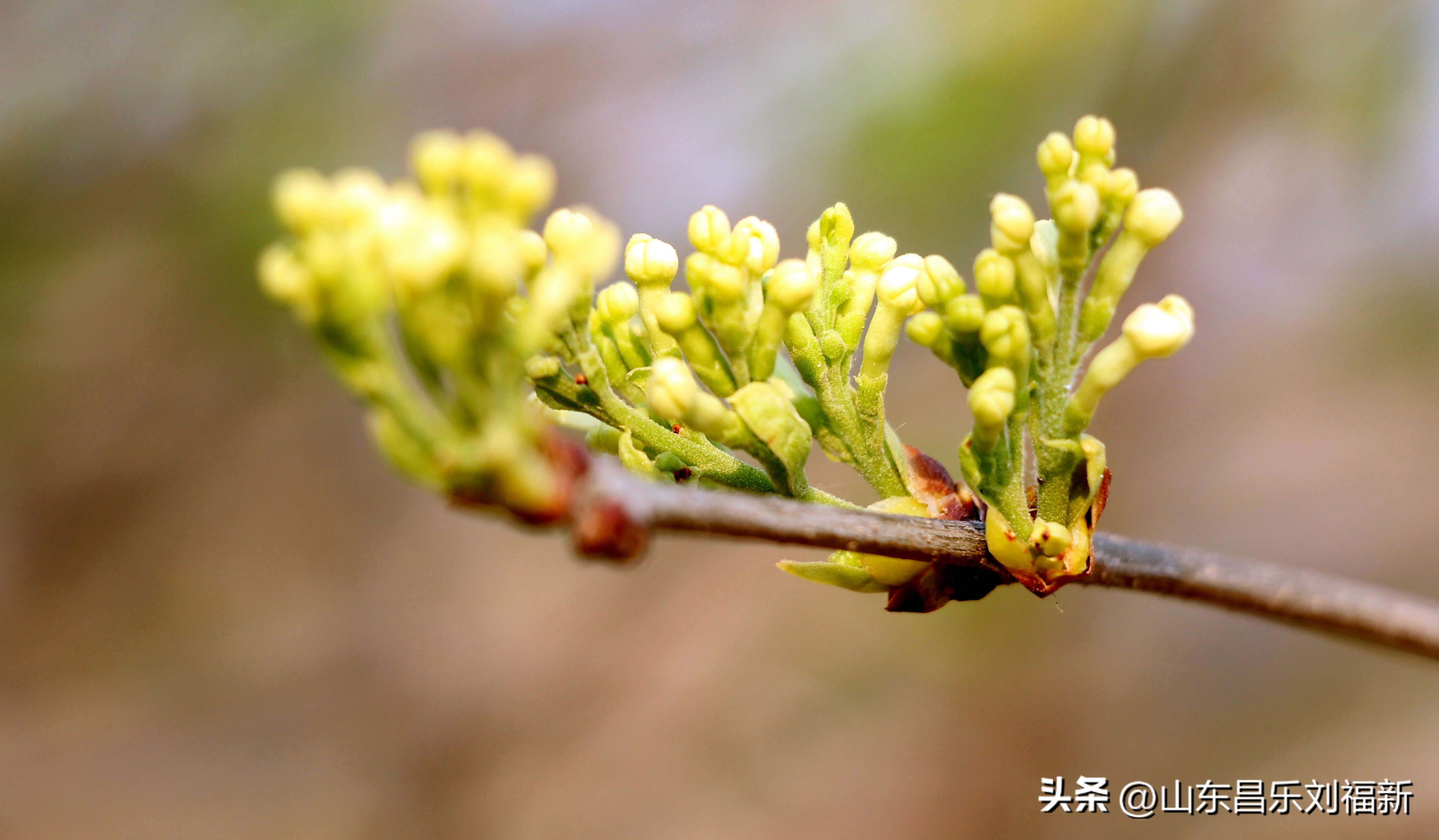 2023年3月中旬散拍·一点儿感受